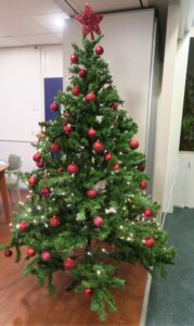 2020 Kerstversiering aanbrengen00006